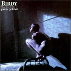 COVER: Birdy