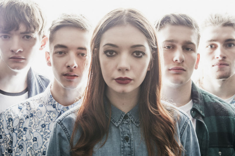 MARMOZETS