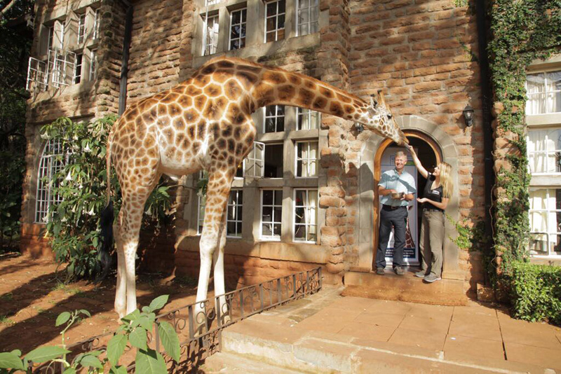 Ellie and giraffe